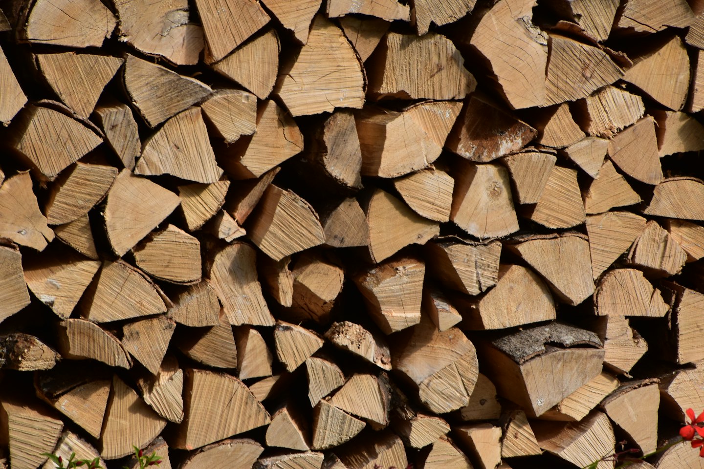 Neatly stacked logs of split firewood with visible wood grain.